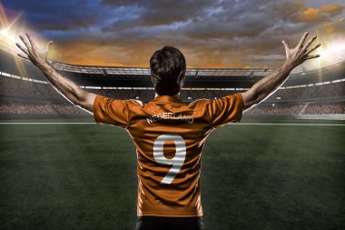 Hollandalı futbolcu