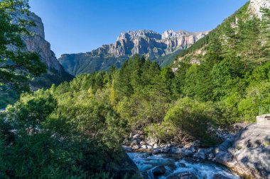 Ara Nehri Ordesa ve Monte Perdido Ulusal Parkı, Aragon, Huesca, İspanya.
