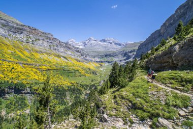 Ordesa 'daki Cola de Caballo şelalesine giden yürüyüşçüler ve Monte Perdido Ulusal Parkı, Aragon, Huesca, İspanya.