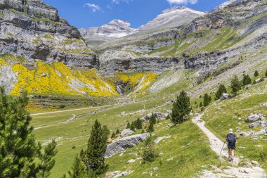 Ordesa ve Monte Perdido Ulusal Parkı 'ndaki Cola de Caballo şelalesine giden kadın yürüyüşçü, Aragon, Huesca, İspanya.