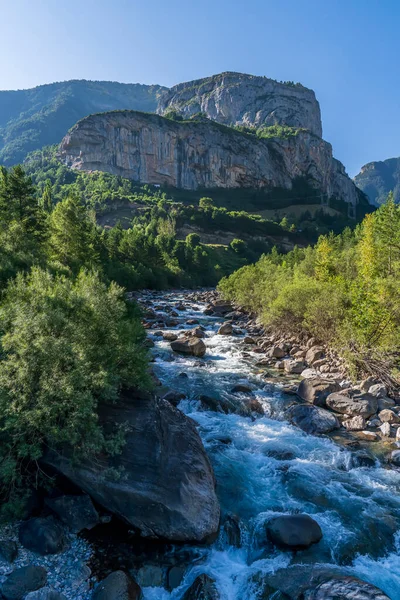 Ara River Ordesa Och Monte Perdido National Park Aragon Huesca Royaltyfria Stockfoton