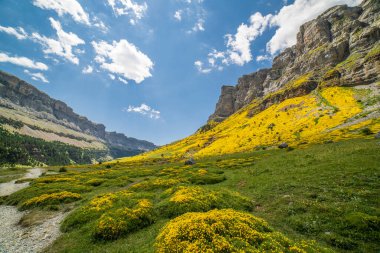 Soasoin Ordesa ve Monte Perdido Ulusal Parkı, Aragon, Huesca, İspanya.