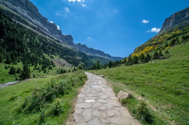 Ordesa ve Monte Perdido Ulusal Parkı 'ndaki taş patika Aragon, Huesca, İspanya.