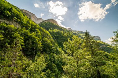 Ordesa ve Monte Perdido Ulusal Parkı, Aragon, Huesca, İspanya 'da dağ ve orman manzaraları.