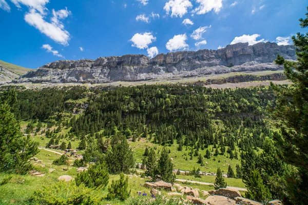 Výhled Porosty Soasoin Ordesa Národní Park Monte Perdido Aragon Huesca — Stock fotografie