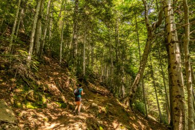 Ordesa ve Monte Perdido Ulusal Parkı 'nda yürüyen yürüyüşçü kadın, Aragon, Huesca, İspanya.