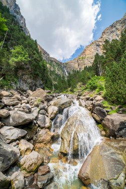 Ordesa ve Monte Perdido Ulusal Parkı 'ndaki Cotatuero şelalesi ve nehri, Aragon, Huesca, İspanya.