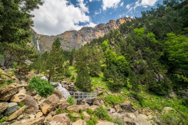 Ordesa ve Monte Perdido Ulusal Parkı 'ndaki Cotatuero şelalesi ve nehri, Aragon, Huesca, İspanya.