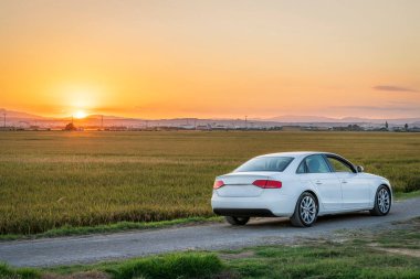 Car at sunset between the rice fields of the Albufera de Valencia natural park, Spain.