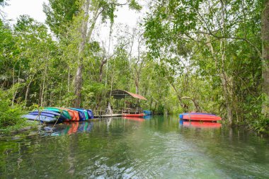 Recently popular attraction Ban Nam Rad Watershed Forest at Khiri Rat Nikhom district, Surat Thani province, Thailand.