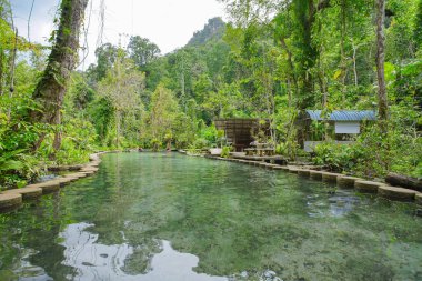 Recently popular attraction Ban Nam Rad Watershed Forest at Khiri Rat Nikhom district, Surat Thani province, Thailand.