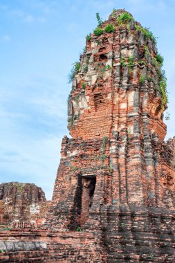 Antik tapınak manzarası, Wat Mahathat Ayutthaya eyaleti, Tayland