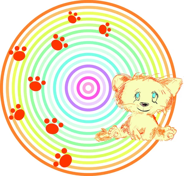 kırmızı, küçük bir kedi ile arka plan