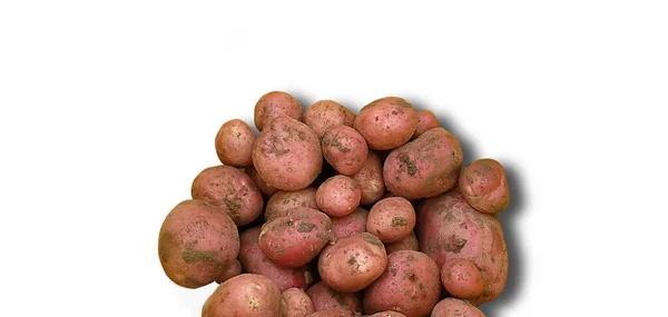 Patatas Rojas Aislado Sobre Fondo Blanco Sombra Primer Plano —  Fotos de Stock