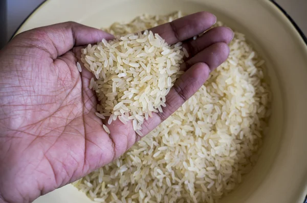 Hand som håller raffinerat vitt ris — Stockfoto