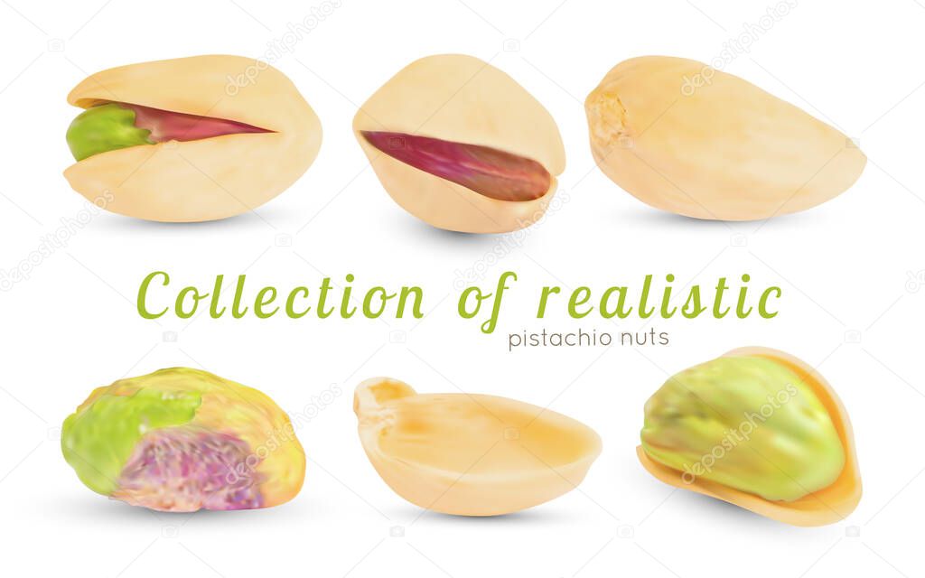 Vector realistic pistachio nuts with dry 3d shell.