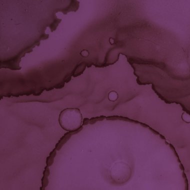 Alkol Şarap İllüstrasyonu. Suluboya Koyu