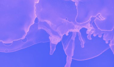 Soyut Sıvı Gradyanı. Pembe Fütürist Asgari