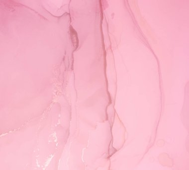 Rose Ink Pastel. Marble Illustration. Sıvı Rengi
