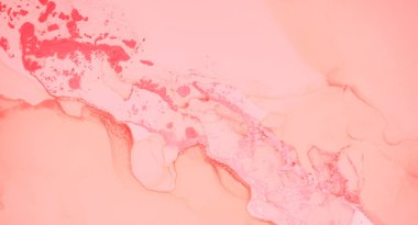 Kadınsı Lüks Mermer. Akrilik Çizim.