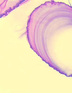 Düğün kartı tasarımı. Pembe Pastel Sıvı Suyu.