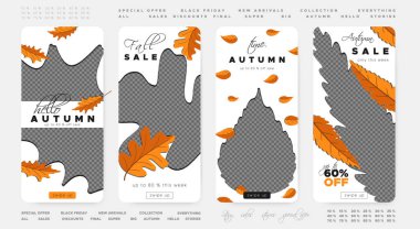 Sonbahar İndirim Şablonları. Turuncu Yaprak Sonbahar Çerçevesi. Şükran Günü Akçaağaç Tanıtımı. Sonbahar Hikayesi Posterinin Vektör Kümesi.