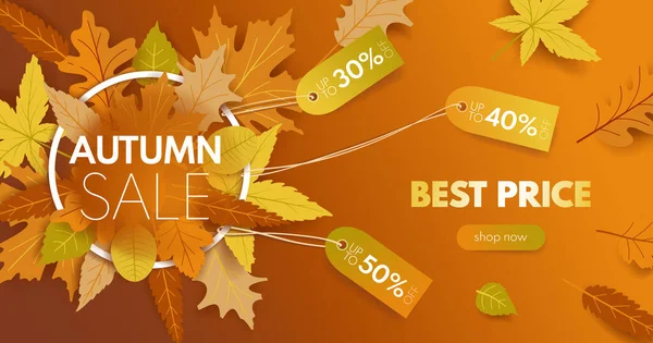 Offerta d'autunno Coupon. Sconto settembre Shopping. Pubblicità autunnale. Vendita autunno Carta da parati. Moda Ringraziamento — Vettoriale Stock