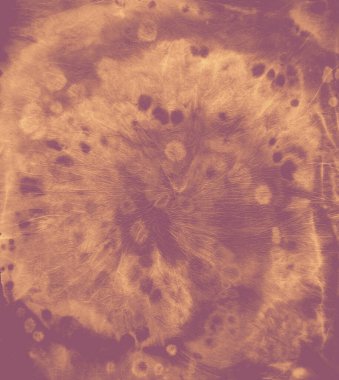 Kırmızı kravat boyası desenleri. Soyut Mürekkep Efektleri. Batik.