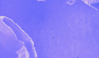 Grafik Boyama Gradyanı. Mavi Suluboya Asgari