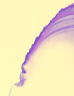 Düğün kartı şablonu. Sarı Pastel Sıvı Suyu. Suluboya boya Arkaplan. Yaratıcı Alkol Mürekkebi Lekeleri Modeli. Düğün Davet Şablonu. Pembe Pastel Akış Suyu. Sarı Düğün Davetiye Tasarımı.