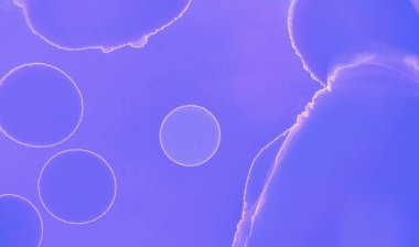 Grafik Akış Şablonu. Mavi Suluboya Dijital Sancak. Işık yağı konsepti. Violet Soyut Resim Çizimi. Fütürist Modern Su Sıçratma. Pembe Neon Yağı Konsepti. Grafik Mürekkep Çizimi.