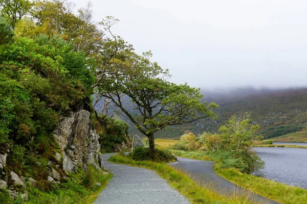 Glenveagh Ulusal Parkı, Glenveagh Kalesi yolu. Donegal İlçesi, İrlanda
