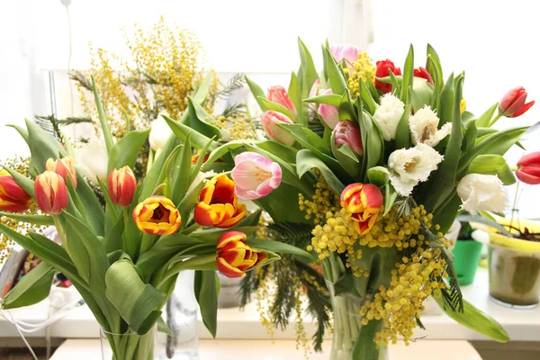 Některé Nejkrásnějších Jarních Květin Tulipány Mimózu Jarní Ráno Slunečný Jasný — Stock fotografie