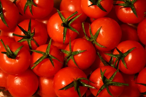 Tomatoes — Stock Photo, Image