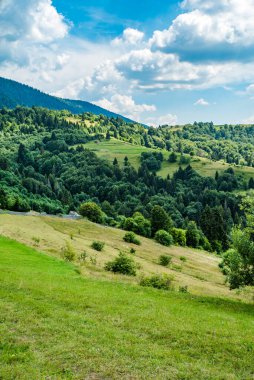 Sıcak bir yaz gününde ormanlarla kaplı güzel dağların ortasında çimlerle kaplı bir tarla. yeşil genç dağlar.