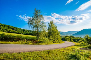 Dağ tepeleri boyunca uzanan dağ yolu. Gün doğumu. Günaydın. Dağların arka planında bile ağaçlar ve açıklıklar var. seyahat kavramı. 