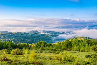 Saha, sabah sisli havada dağların arka planında çimen ve çalılarla kaplıdır..
