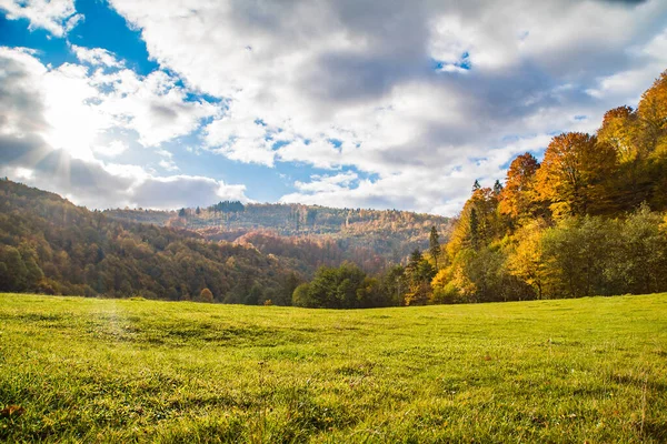 Mýtina Pokrytá Trávou Pozadí Podzimního Lesa Hor Při Východu Slunce — Stock fotografie