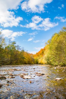 Eksensel ormanın yanından akan dağ nehri. Ağaçlar sarı ve turuncu yapraklar ve yeşil yapraklarla kaplıdır. Bulutlu mavi gökyüzü güzel havadır. Sonbahar arkaplanı dikey.