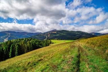 Dağların arka planında çim ve ormanlarla kaplı bir tepe. Yaz gününde bulutlu bir hava. 