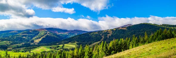 Hills Covered Forests Grass Countryside Warm Summer Day Panoramic Landscape — Stock Fotó