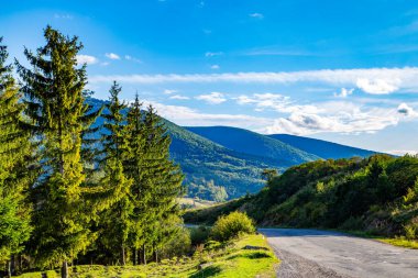 Kozalaklı ormanın yanındaki yol. Bir yaz günü mavi gökyüzü ve bulutlu dağların arka planında.. 