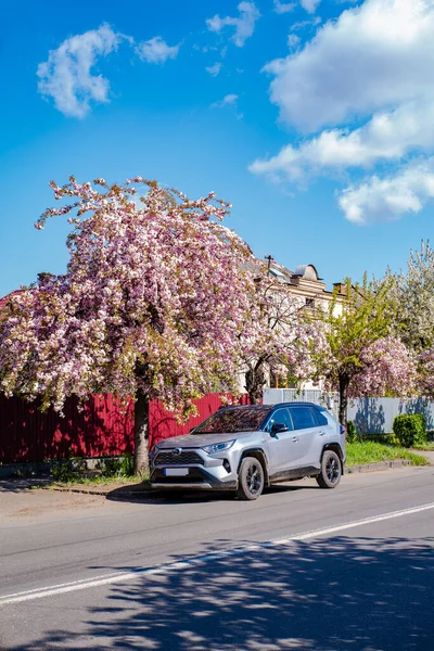 Uzhhorod Ukraine Abril 2021 Toyota Rav4 Coche Estacionado Ciudad Calle Imagen de stock