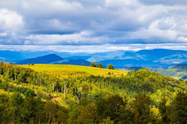 Çimenli tepeler ağaçlarla kaplı sıcak bir bahar gününde mavi gökyüzü bulutlu. bahar doğası senaryosu. 