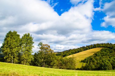 Çimenli tepeler ağaçlarla kaplı sıcak bir bahar gününde mavi gökyüzü bulutlu. bahar doğası senaryosu. 