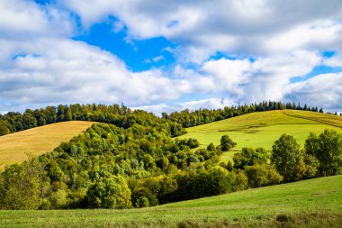 Çimenli tepeler ağaçlarla kaplı sıcak bir bahar gününde mavi gökyüzü bulutlu. bahar doğası senaryosu. 