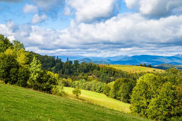 Çimenli tepeler ağaçlarla kaplı sıcak bir bahar gününde mavi gökyüzü bulutlu. bahar doğası senaryosu. 