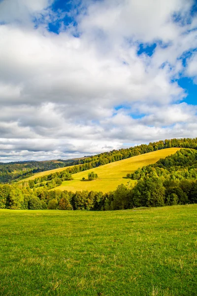 Grassy Hills Covered Trees Warm Spring Day Blue Sky Clouds — Stock Photo, Image