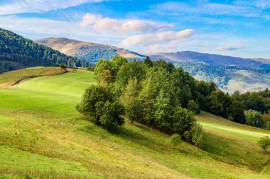 Doğa manzarası. Dağlardaki yeşil tepeler, açık bir yaz gününde dağ zirvelerinin arka planında ağaçlarla kaplıdır. Bulutlu mavi gökyüzü. 
