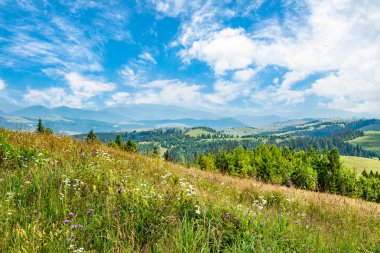 landscape of hills covered with trees and a moat on a summer day. clear blue sky with clouds.	